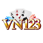 vn123 logo